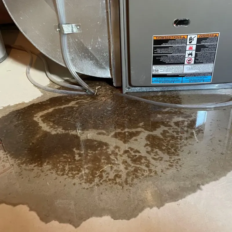 Pipe Burst and Leak Restoration in Huber Ridge, OH