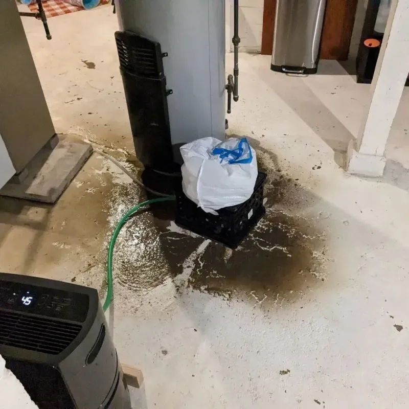 Sewage Backup Cleanup Service in Huber Ridge, OH